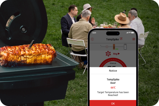 Establezca temperaturas objetivo y reciba notificaciones instantáneas ThermoPro