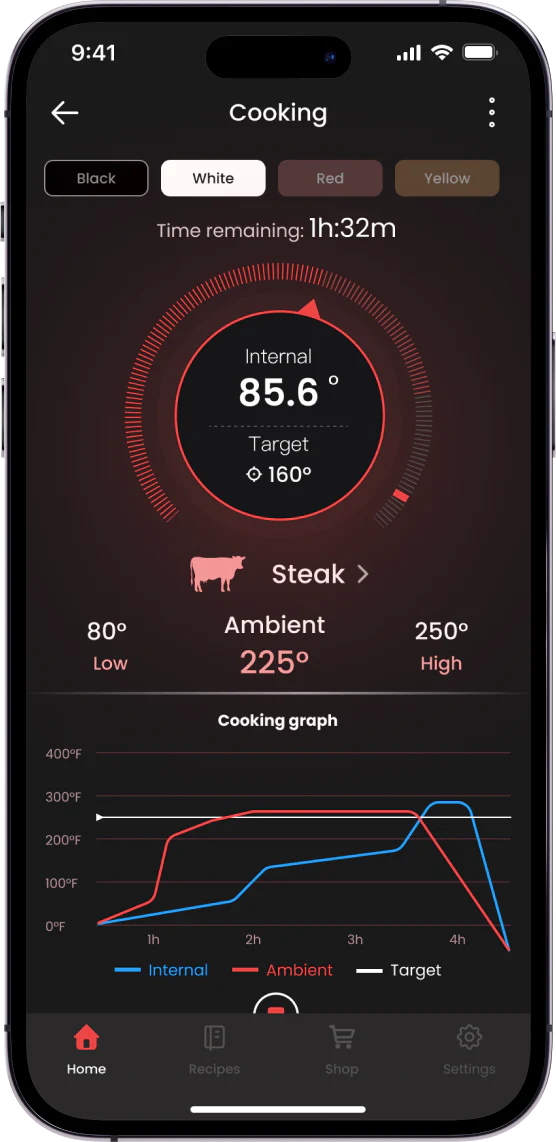 ThermoPro APP
