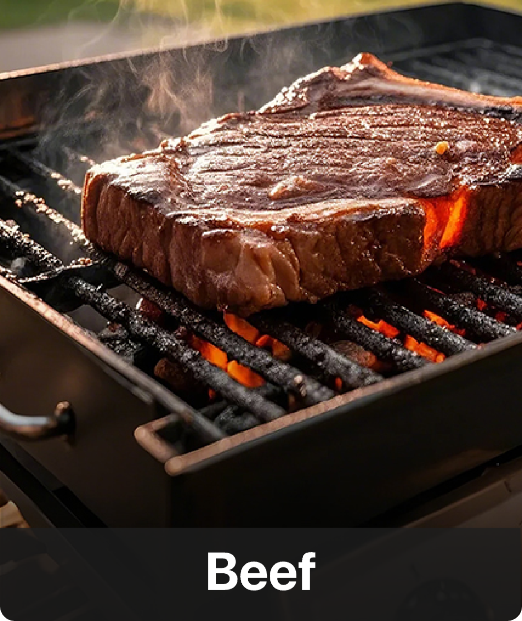 TP03H Instant-Read Meat Thermometer