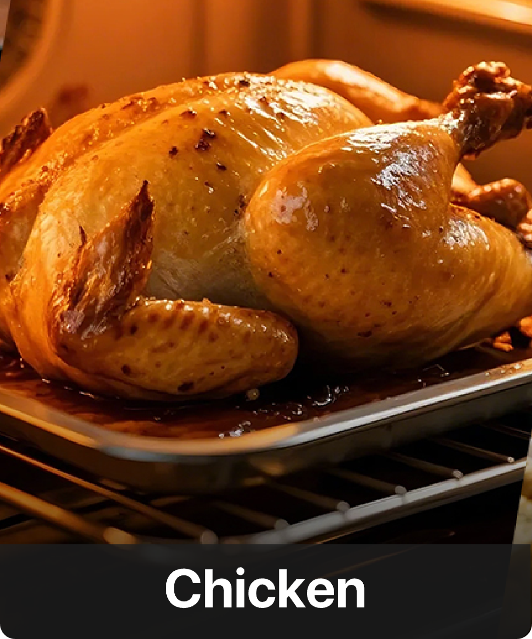 TP03H Instant-Read Meat Thermometer