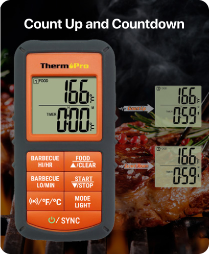 TP08S Wireless Meat Thermometer