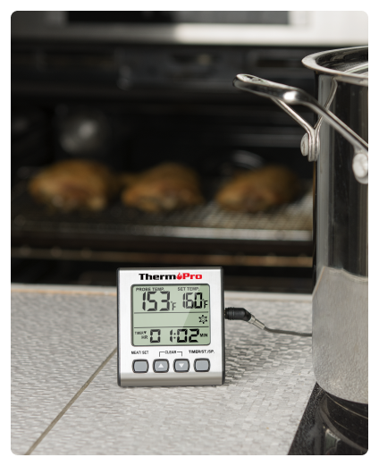 TP16S Leave-In Meat Thermometer