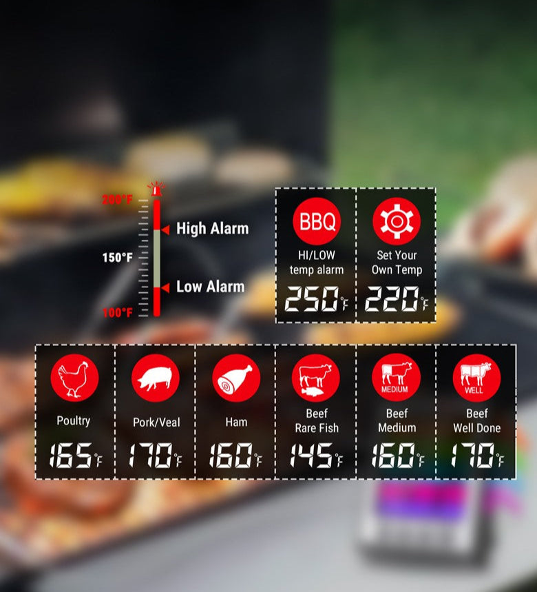 TP17H Leave-In 4-Probes Meat Thermometer