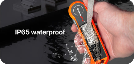 TP19H Instant-Read Meat Thermometer