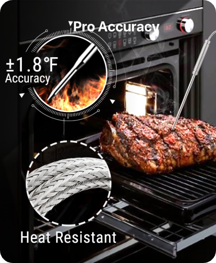 TP828B Wireless Meat Thermometer