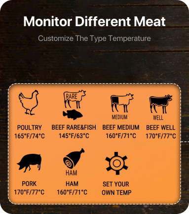 Thermomètre à viande à 1 sonde sans rinçage TP716