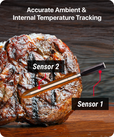 TP960 TempSpike Bluetooth Meat Thermometer