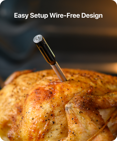 TP961 TempSpike Bluetooth Meat Thermometer-Black