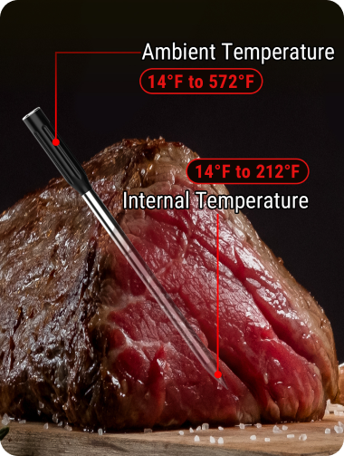 TP961 TempSpike Bluetooth Meat Thermometer-Black