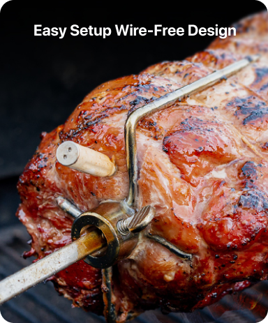 TP962 Twin TempSpike Bluetooth Meat Thermometer