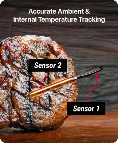 TP970 TempSpike Plus Bluetooth Meat Thermometer