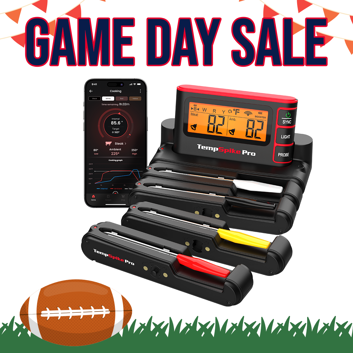 TempSpike Pro TP980 4 Probes