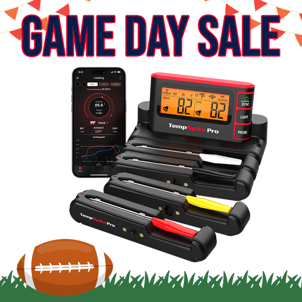 TempSpike Pro TP980 4 Probes