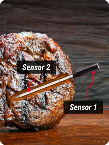 TP960 TempSpike Bluetooth Meat Thermometer
