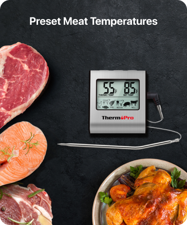 TP16 Leave-In Meat Thermometer