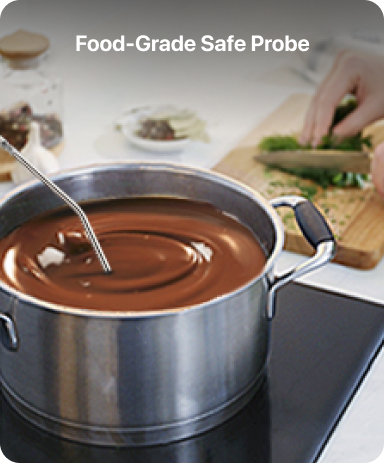TP16 Leave-In Meat Thermometer