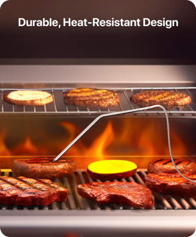 TP16 Leave-In Meat Thermometer