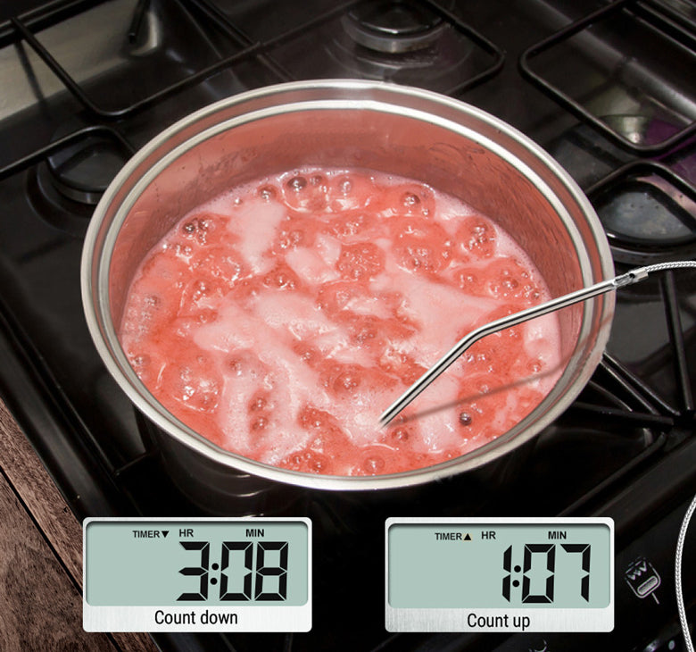 TP16 Leave-In Meat Thermometer