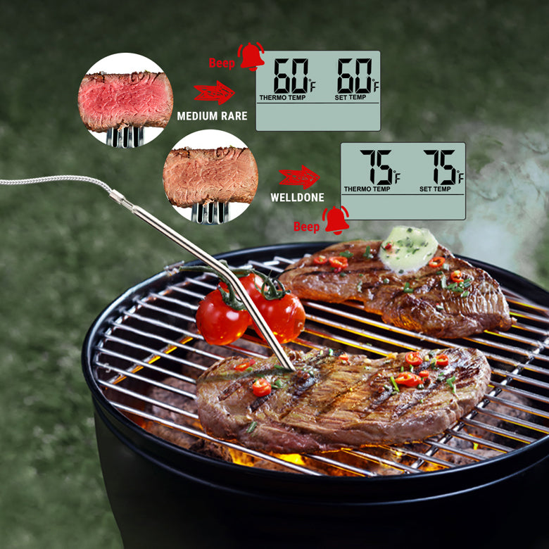TP16 Leave-In Meat Thermometer