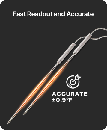 TP17 Leave-In Meat Thermometer