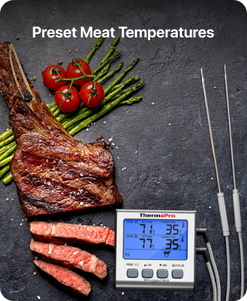 TP17 Leave-In Meat Thermometer