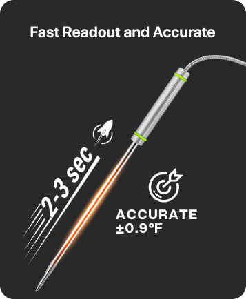 TP17H Leave-In 4-Probes Meat Thermometer