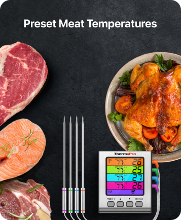 TP17H Leave-In 4-Probes Meat Thermometer