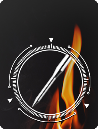 TP25 Wireless Leave-In Meat Thermometer