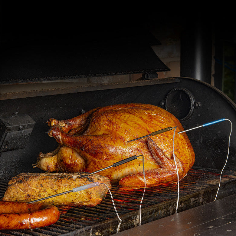 TP25 Wireless Leave-In Meat Thermometer