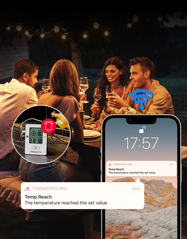 TP25 Wireless Leave-In Meat Thermometer