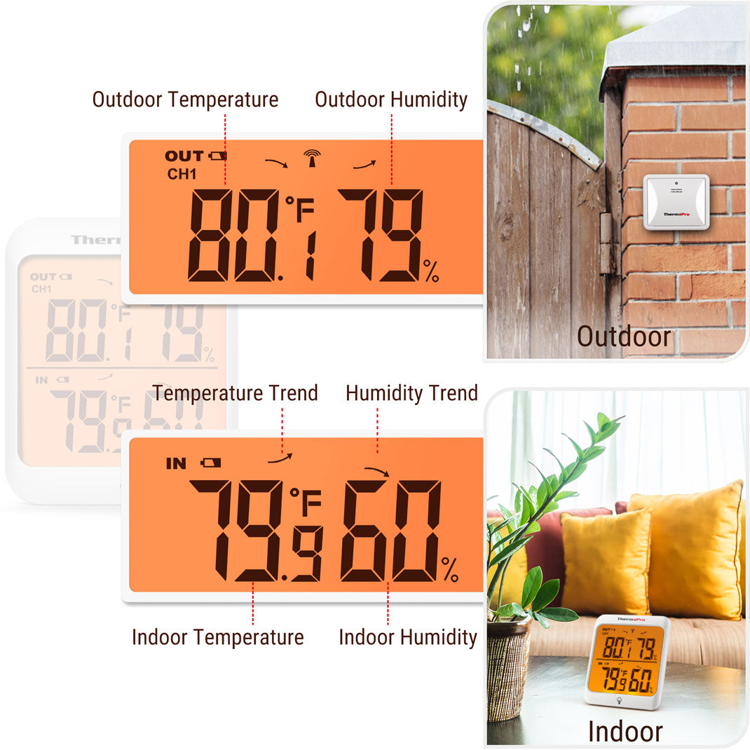 TP63B Wireless Hygrometer Thermometer