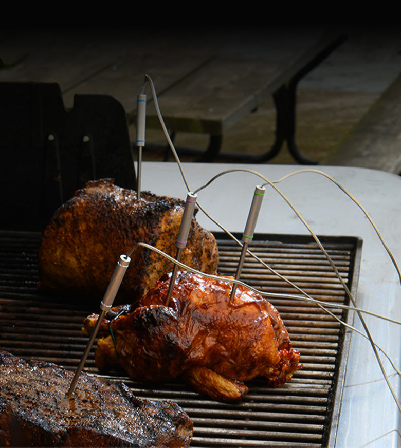 TP930 Bluetooth Wireless Meat Thermometer