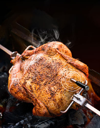 TP961 TempSpike Bluetooth Meat Thermometer-Black