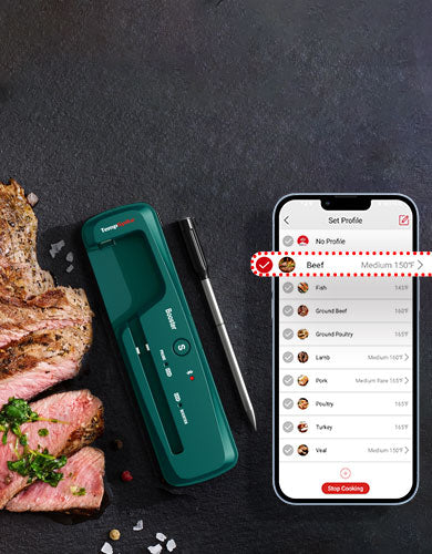 Termómetro para carne Bluetooth TP961 TempSpike - Verde