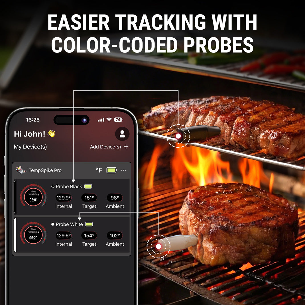 TP980 TempSpike Pro Wi-Fi Meat Thermometer-2 Probes