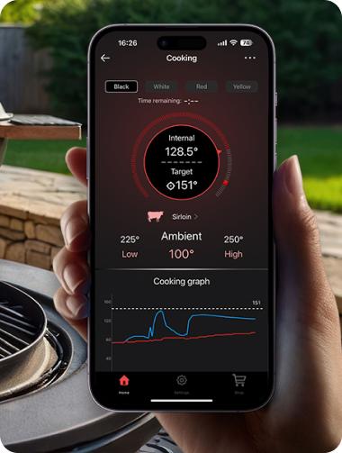 TP980 TempSpike Pro Wi-Fi Meat Thermometer-3 Probes