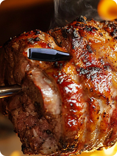 TP980 TempSpike Pro Wi-Fi Meat Thermometer-3 Probes