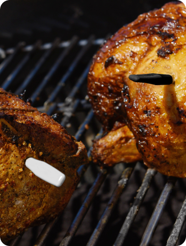 TP980 TempSpike Pro Wi-Fi Meat Thermometer-3 Probes