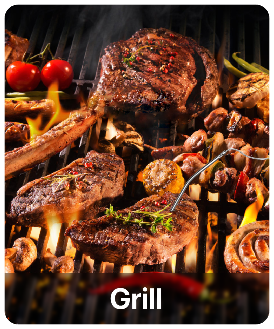 TP716 Leave-In 1 Probe Meat Thermometer