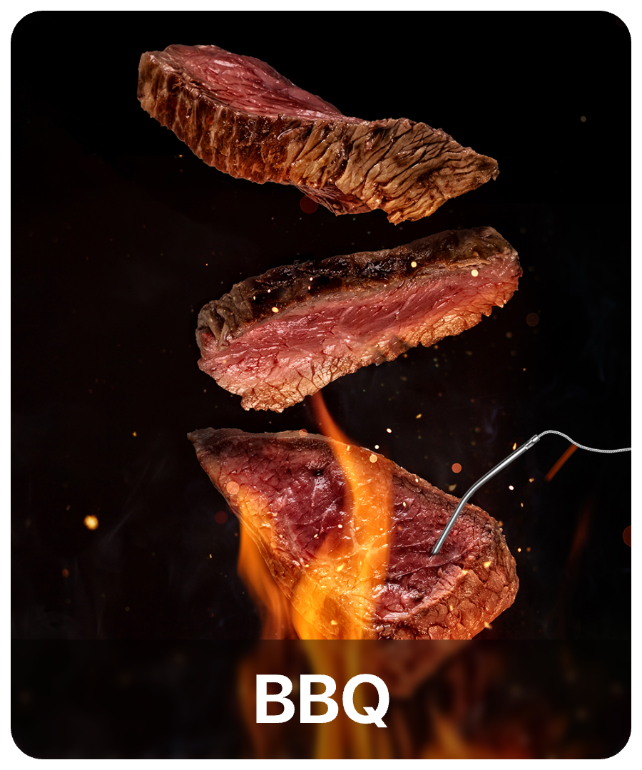 TP716 Leave-In 1 Probe Meat Thermometer