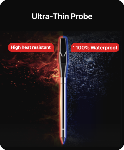 ThermoPro TP862B TempSpike XR 1,000-ft Wireless Dual-Probe Meat Thermometer