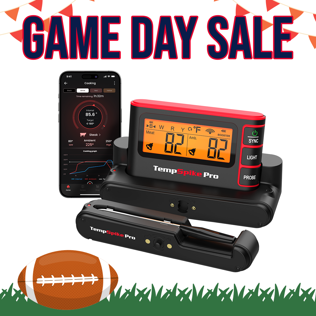 TempSpike Pro TP980 1 Probe