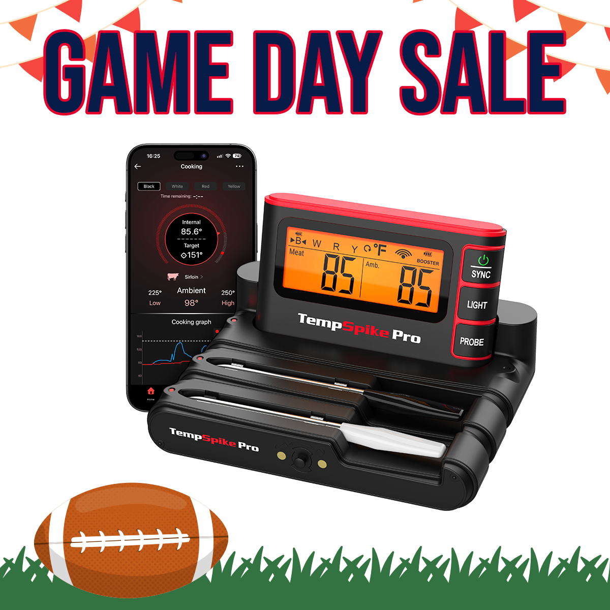  TempSpike Pro TP980 2 Probes