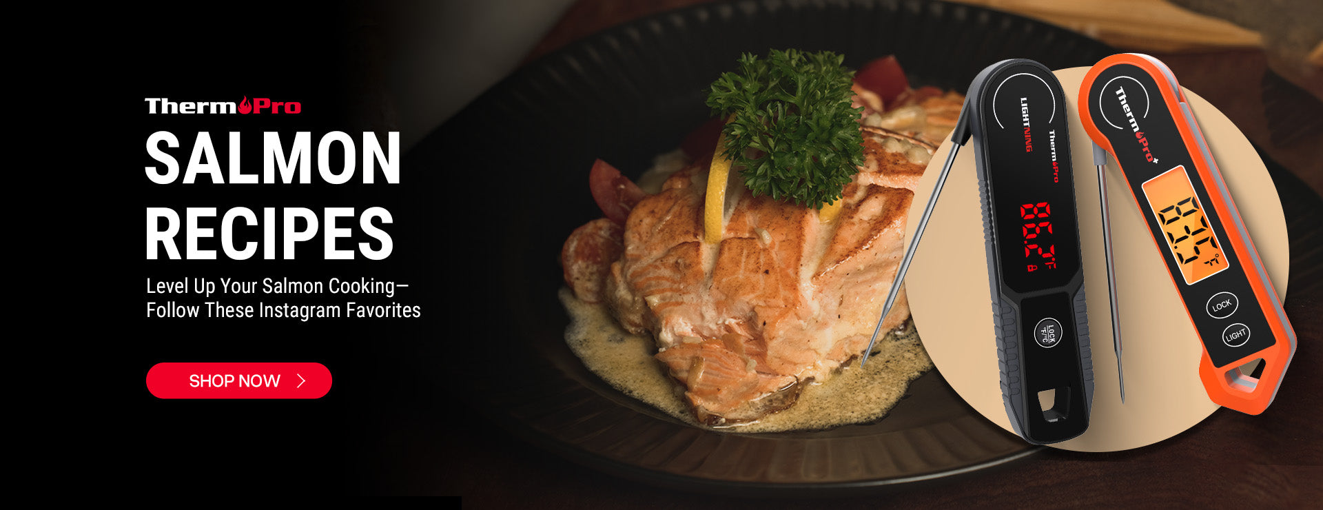 Salmon Recipe