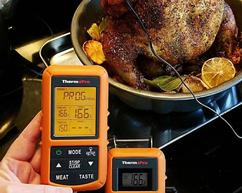ThermoPro Turkey Meat Thermometer