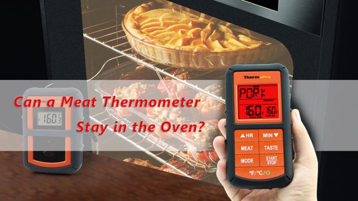 thermopro tp20 read temperature from probe in the oven