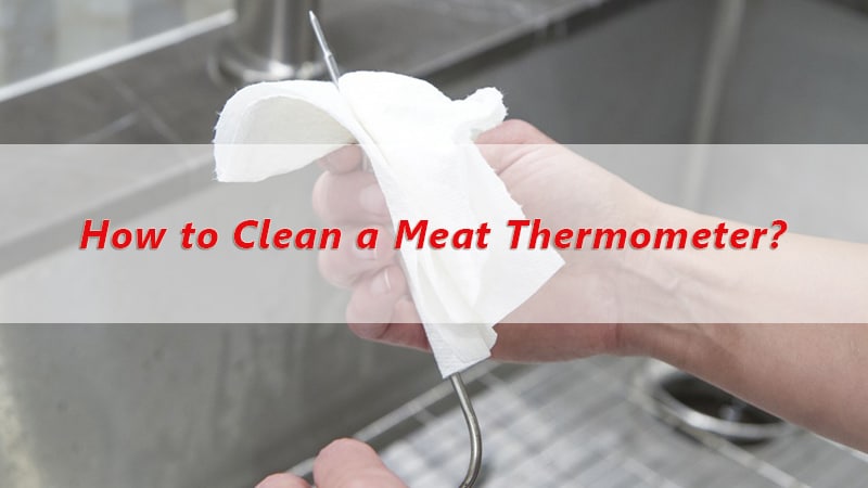 How to Clean a Meat Thermometer ThermoPro Blog