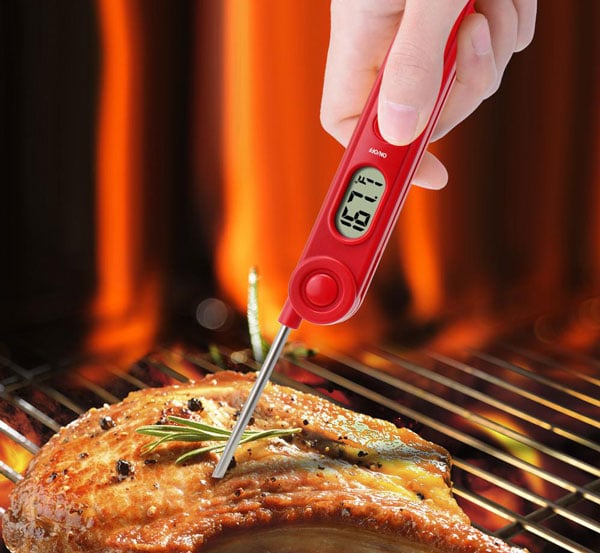 Check Grill Steak Temperature
