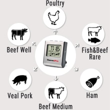 Thermometer for meat
