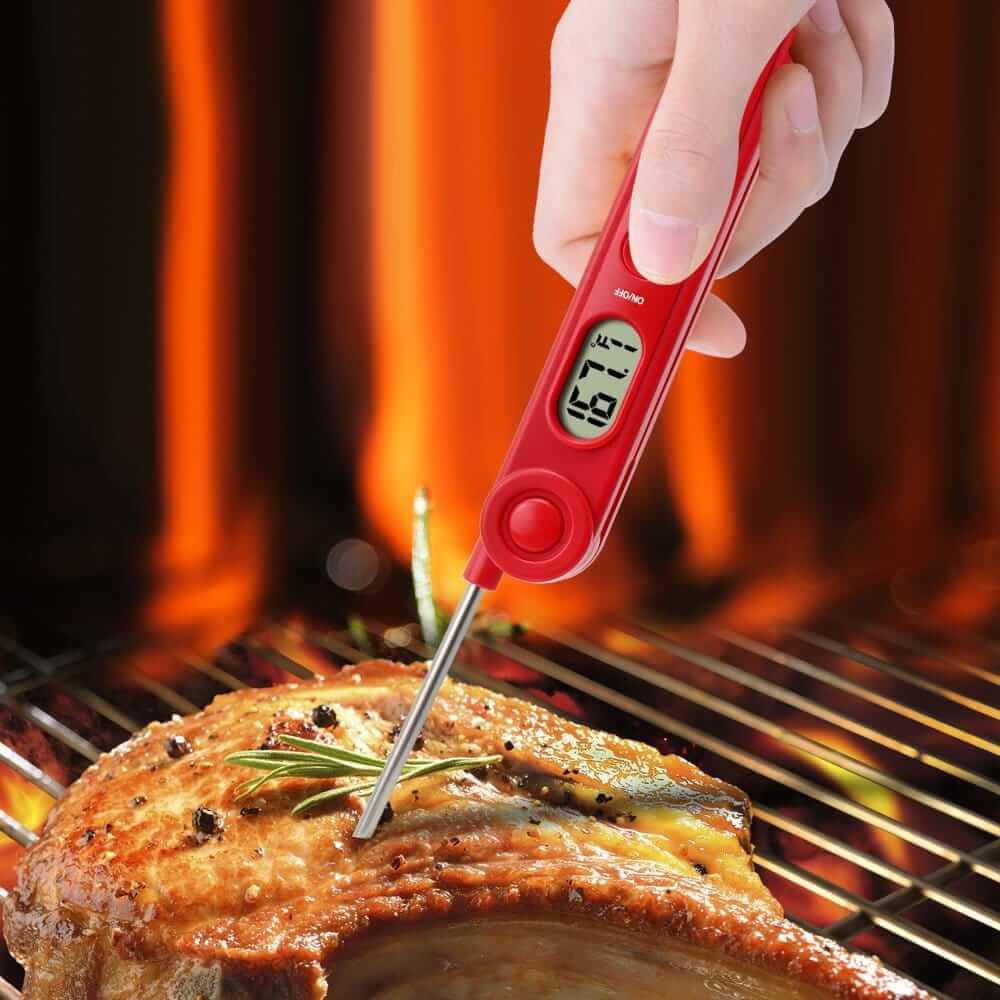 Thermo-Pro Meat Thermometer